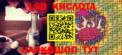 мдма Камышлов