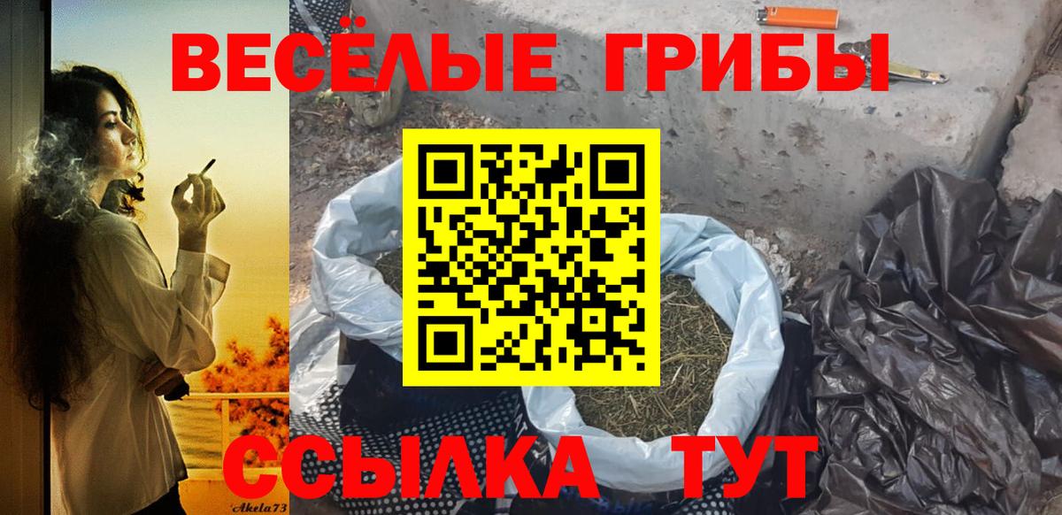 Галлюциногенные грибы мухоморы  Псилоцибиновые грибы ЛСД  купить наркотики сайты  Вход с VPN  Ливны 