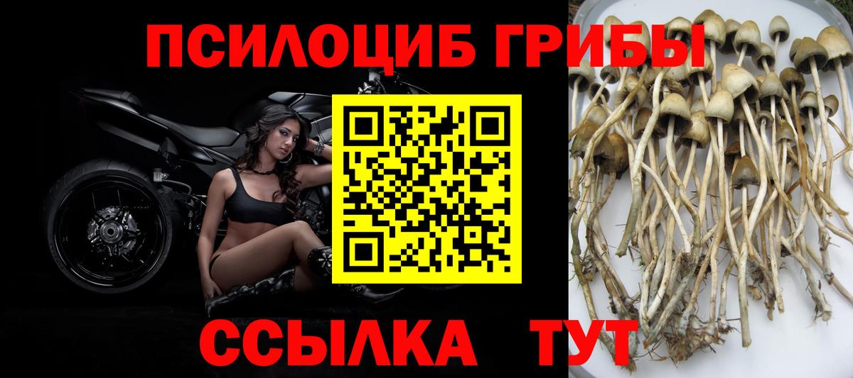 Галлюциногенные грибы GOLDEN TEACHER Ливны