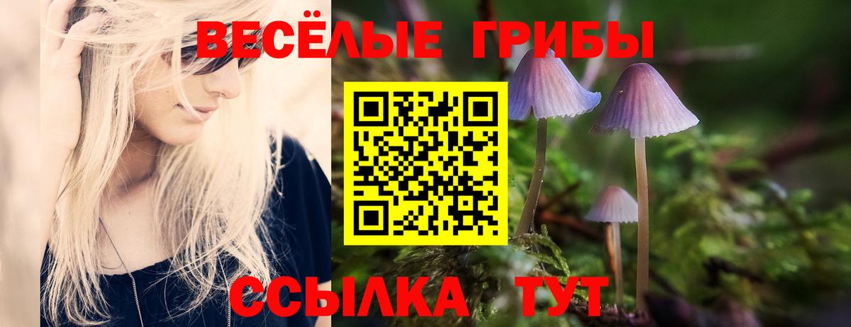 ТГК  Вход с VPN  Экстази  МЕФ кристаллы  Ливны  Cocaine  ГАШ  Бошки Шишки 